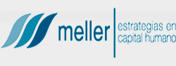 Meller Consultores - Vousys.