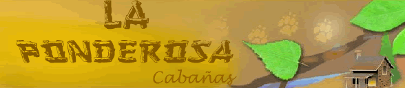 CABAÑAS LA PONDEROSA - Vousys.