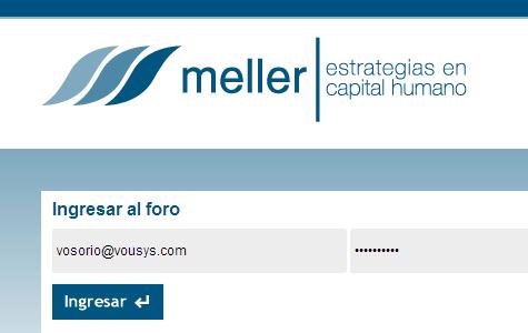 Vousys.com // Desarrollo  de foro
