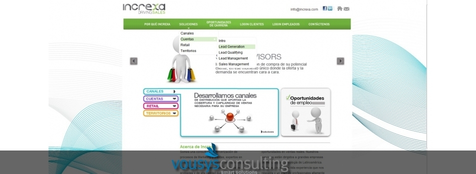 VOUSYS: Software development: Frontend development, analysis and development