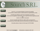 Software development: SOUNCH SEGURIDAD - VOUSYS