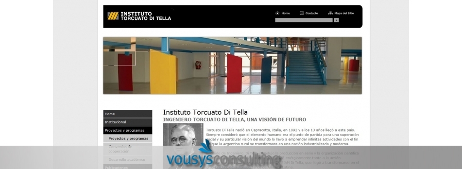 VOUSYS: Desarrollo de software: ITDT - Diseño, Programación y Gestor de contenidos