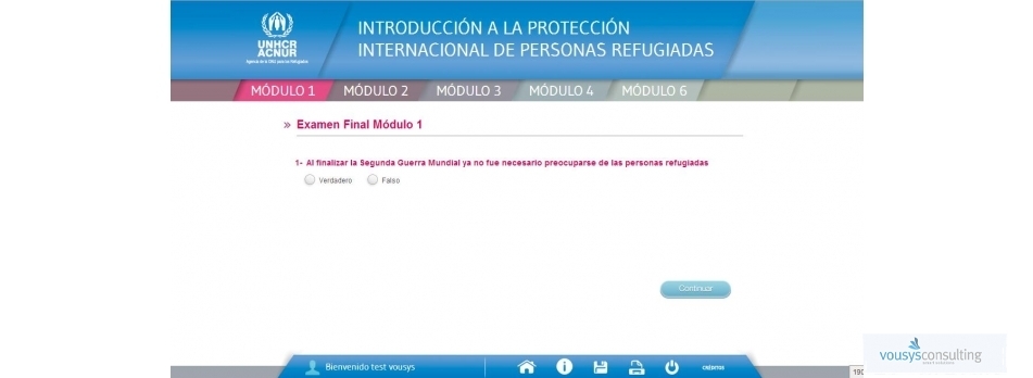 VOUSYS: Desarrollo de software: E-learning para Naciones Unidas