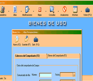 Desarrollo de software: BIENES DE USO VOUSYS - VOUSYS