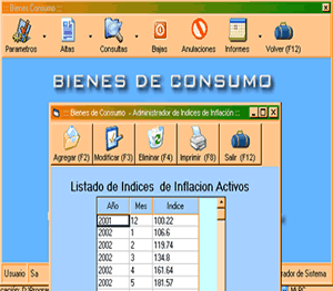 Desarrollo de software: BIENES DE CONSUMO VOUSYS - VOUSYS