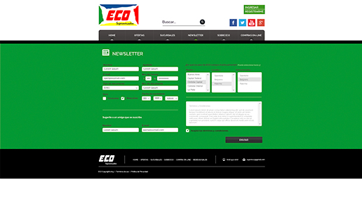 VOUSYS: Software development: Supermercados eco website