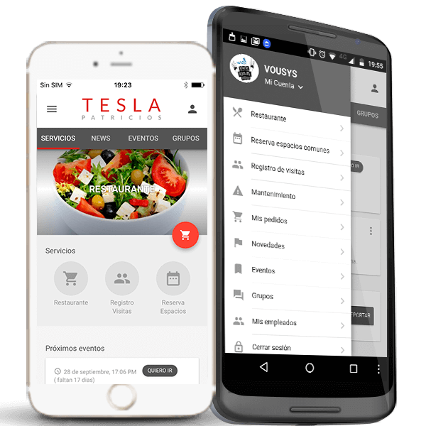 Desarrollo de software: Tesla office app - VOUSYS