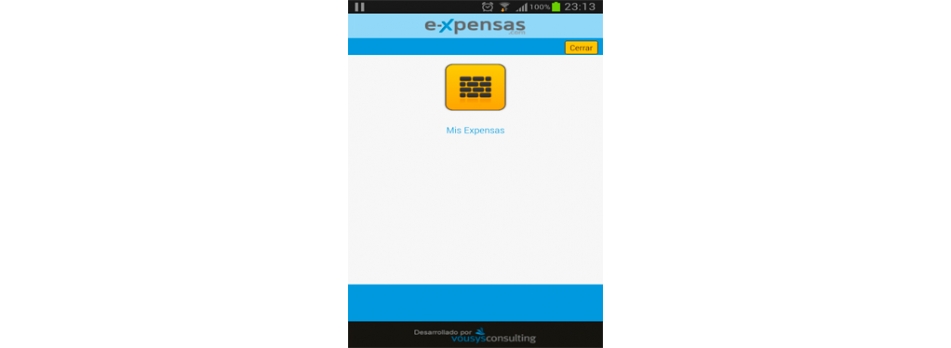 VOUSYS: Software development: E-xpensas: owner´s app